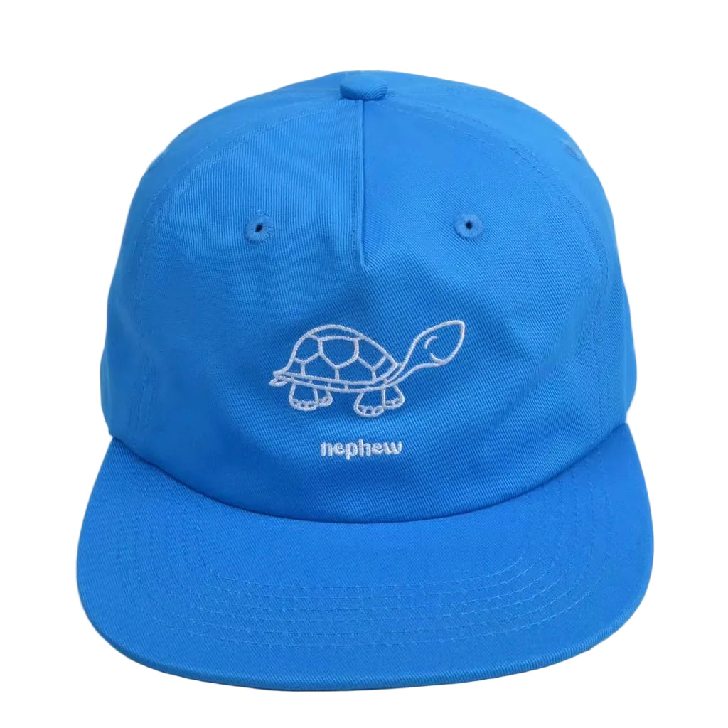 Nephew Turtle Unstructured Dad Hat